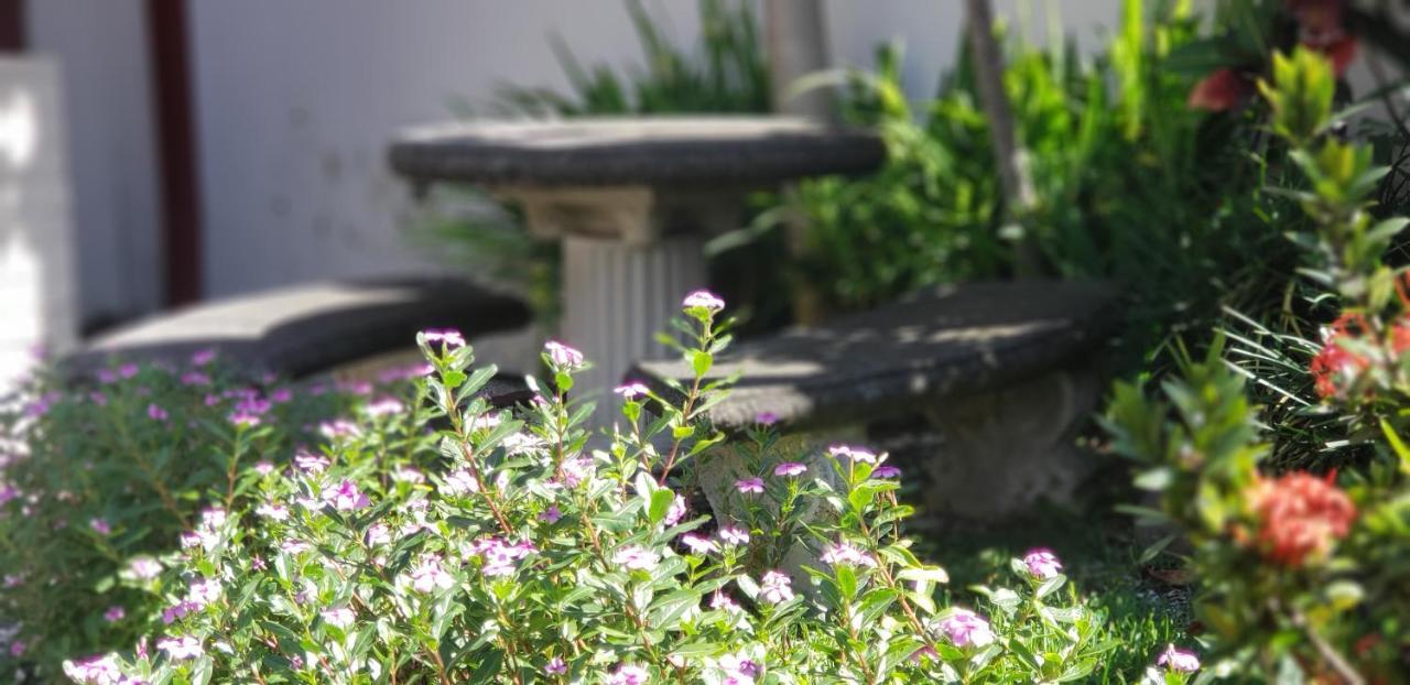 Alajuela City Hotel & Guest House Buitenkant foto